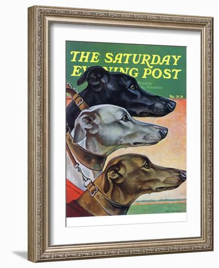 "Greyhounds," Saturday Evening Post Cover, March 29, 1941-Paul Bransom-Framed Giclee Print