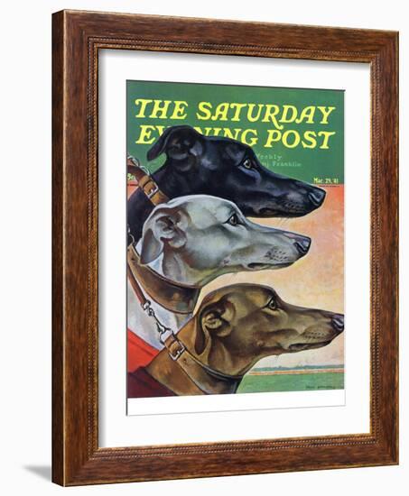 "Greyhounds," Saturday Evening Post Cover, March 29, 1941-Paul Bransom-Framed Giclee Print