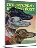 "Greyhounds," Saturday Evening Post Cover, March 29, 1941-Paul Bransom-Mounted Giclee Print