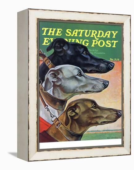 "Greyhounds," Saturday Evening Post Cover, March 29, 1941-Paul Bransom-Framed Premier Image Canvas