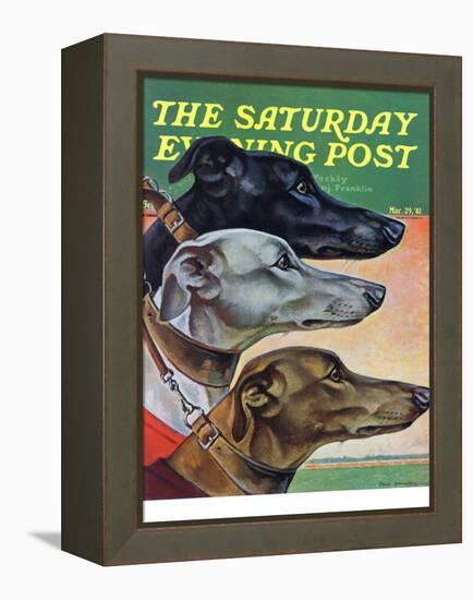 "Greyhounds," Saturday Evening Post Cover, March 29, 1941-Paul Bransom-Framed Premier Image Canvas