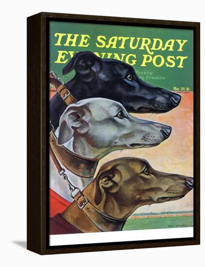 "Greyhounds," Saturday Evening Post Cover, March 29, 1941-Paul Bransom-Framed Premier Image Canvas