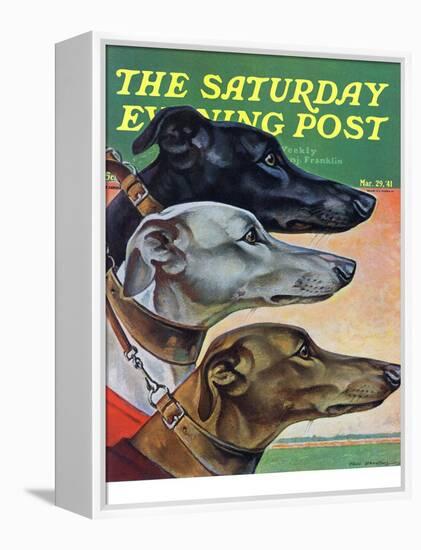 "Greyhounds," Saturday Evening Post Cover, March 29, 1941-Paul Bransom-Framed Premier Image Canvas