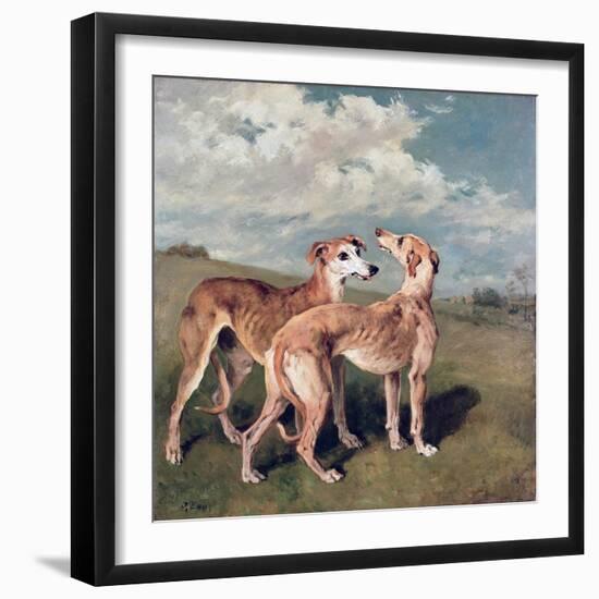 Greyhounds-John Emms-Framed Giclee Print