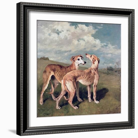 Greyhounds-John Emms-Framed Giclee Print