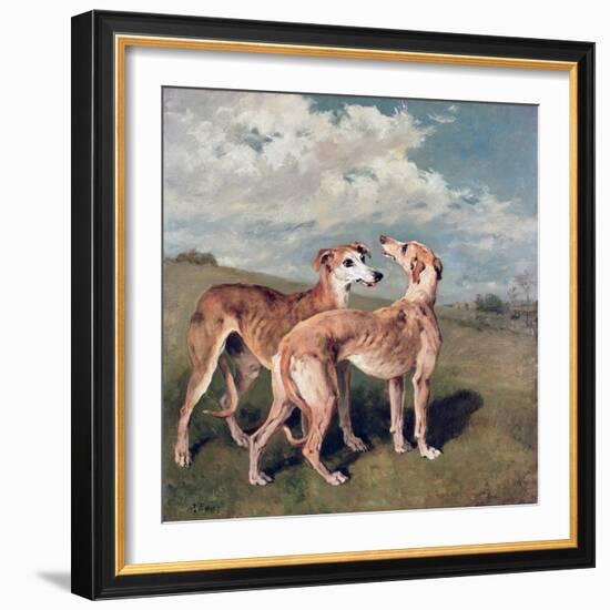 Greyhounds-John Emms-Framed Giclee Print