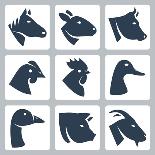 Vector Domesticated Animals Icons Set: Horse, Sheep, Cow, Chicken, Rooster, Duck, Goose, Pig, Goat-GreyJ-Art Print