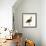 Greylag Goose-null-Framed Giclee Print displayed on a wall
