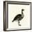 Greylag Goose-null-Framed Giclee Print