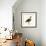 Greylag Goose-null-Framed Giclee Print displayed on a wall