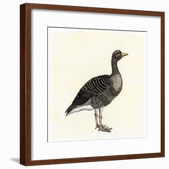 Greylag Goose-null-Framed Giclee Print