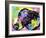 Greyt, Dogs, Greyhound, Pets, Look up, Begging, Pop Art, Colorful, Stencils-Russo Dean-Framed Giclee Print