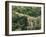 Griechenland, Peloponnes, Pylos, Landschaft, AquäDukt, Pilos, Wald-Thonig-Framed Photographic Print