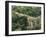 Griechenland, Peloponnes, Pylos, Landschaft, AquäDukt, Pilos, Wald-Thonig-Framed Photographic Print