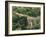 Griechenland, Peloponnes, Pylos, Landschaft, AquäDukt, Pilos, Wald-Thonig-Framed Photographic Print