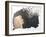 Grief-Kirstie Adamson-Framed Giclee Print