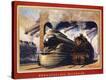 Stretched Canvas Print