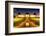 Griffith Obsewrvatory Lit Up At Night, Los Angeles, California-George Oze-Framed Photographic Print