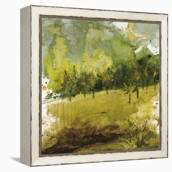 Griffith Park II-Kelsey Hochstatter-Framed Stretched Canvas