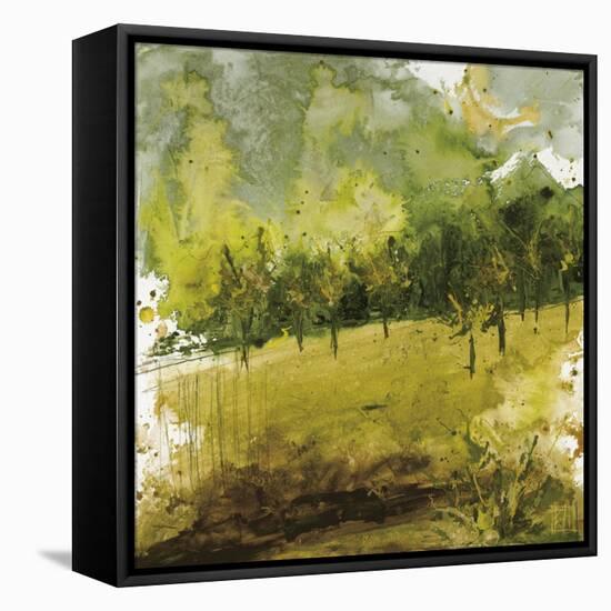 Griffith Park II-Kelsey Hochstatter-Framed Stretched Canvas