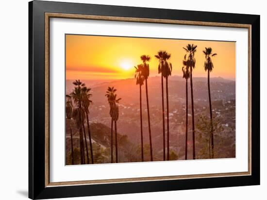 Griffith Park, Los Angeles, California, Usa.-SeanPavonePhoto-Framed Photographic Print