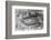 Griffith Stadium-null-Framed Photographic Print