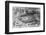 Griffith Stadium-null-Framed Photographic Print