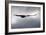 Griffon Vulture In Flight-Linda Wright-Framed Photographic Print