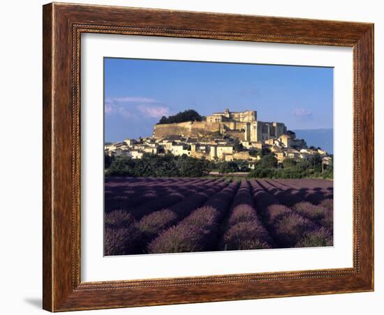 Grignan Lavender-Charles Bowman-Framed Photographic Print