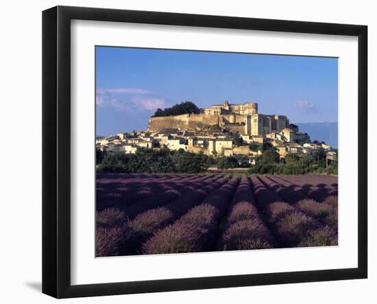 Grignan Lavender-Charles Bowman-Framed Photographic Print