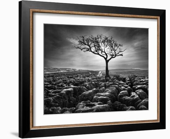 Grikes and Clints-Martin Henson-Framed Photographic Print