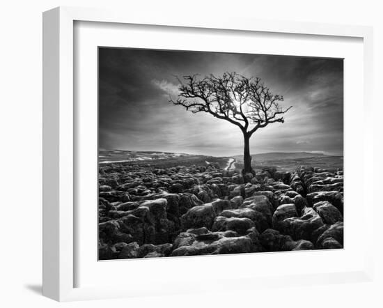 Grikes and Clints-Martin Henson-Framed Photographic Print