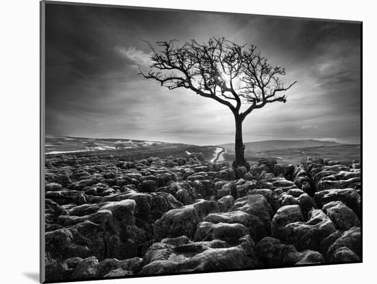 Grikes and Clints-Martin Henson-Mounted Photographic Print