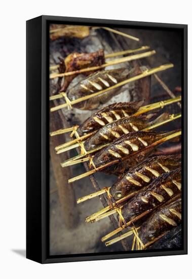 Grilled Fish, Luang Prabang, Laos, Indochina, Southeast Asia, Asia-Yadid Levy-Framed Premier Image Canvas