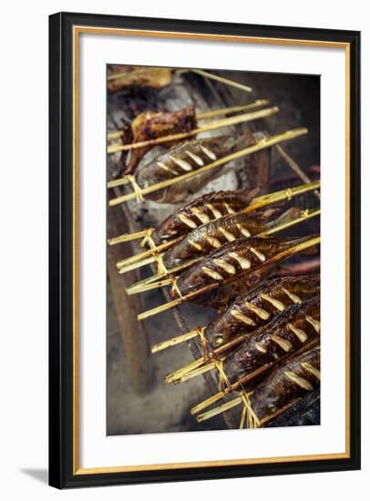 Grilled Fish, Luang Prabang, Laos, Indochina, Southeast Asia, Asia-Yadid Levy-Framed Photographic Print