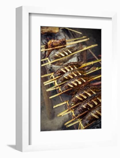 Grilled Fish, Luang Prabang, Laos, Indochina, Southeast Asia, Asia-Yadid Levy-Framed Photographic Print