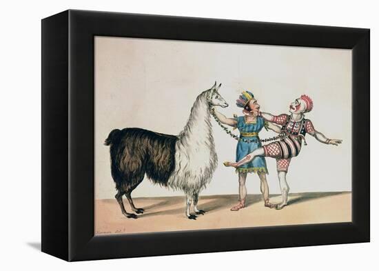 Grimaldi and the Alpaca, in the Popular Pantomime of the Red Dwarf, Published 1813 in London-John Norman-Framed Premier Image Canvas