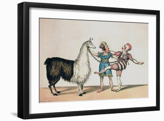 Grimaldi and the Alpaca, in the Popular Pantomime of the Red Dwarf, Published 1813 in London-John Norman-Framed Giclee Print