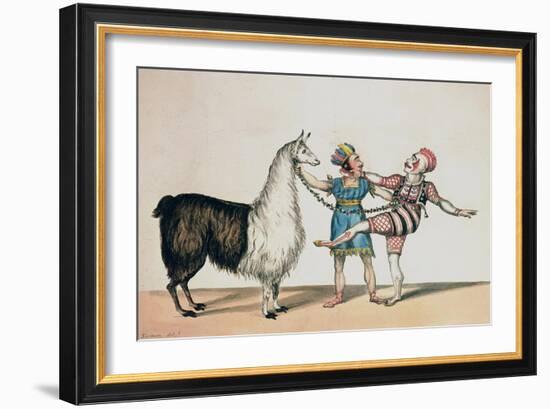 Grimaldi and the Alpaca, in the Popular Pantomime of the Red Dwarf, Published 1813 in London-John Norman-Framed Giclee Print