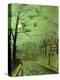 Stretched Canvas Print