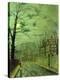 Stretched Canvas Print