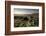 Grimspound Bronze Age Settlement, Dartmoor, Devon. UK February 2007-Ross Hoddinott-Framed Photographic Print