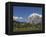 Grindelwald and Wetterhorn, Bernese Oberland, Swiss Alps, Switzerland, Europe-Hans Peter Merten-Framed Premier Image Canvas