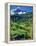 Grindewald, Switzerland-Peter Adams-Framed Premier Image Canvas