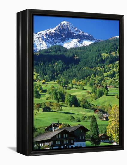 Grindewald, Switzerland-Peter Adams-Framed Premier Image Canvas
