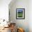 Grindewald, Switzerland-Peter Adams-Framed Photographic Print displayed on a wall