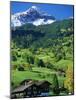 Grindewald, Switzerland-Peter Adams-Mounted Photographic Print