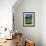 Grindewald, Switzerland-Peter Adams-Framed Photographic Print displayed on a wall