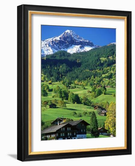 Grindewald, Switzerland-Peter Adams-Framed Photographic Print