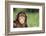 Grinning Chimpanzee-DLILLC-Framed Photographic Print